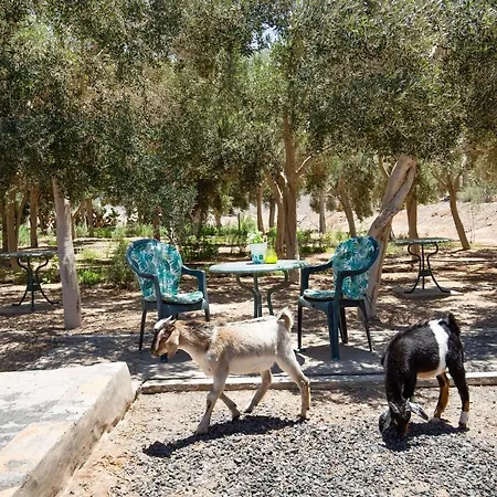 Esencia Eco-rustico Adults Only El Charco (Las Palmas)